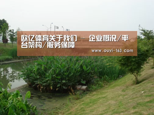 案例展示四(图1)