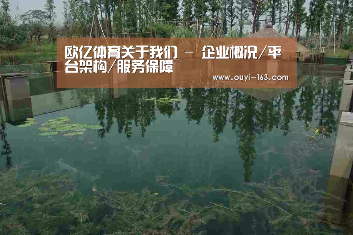 案例展示二